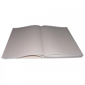 Hartie ECG, top, 210mmx140mmx170file 