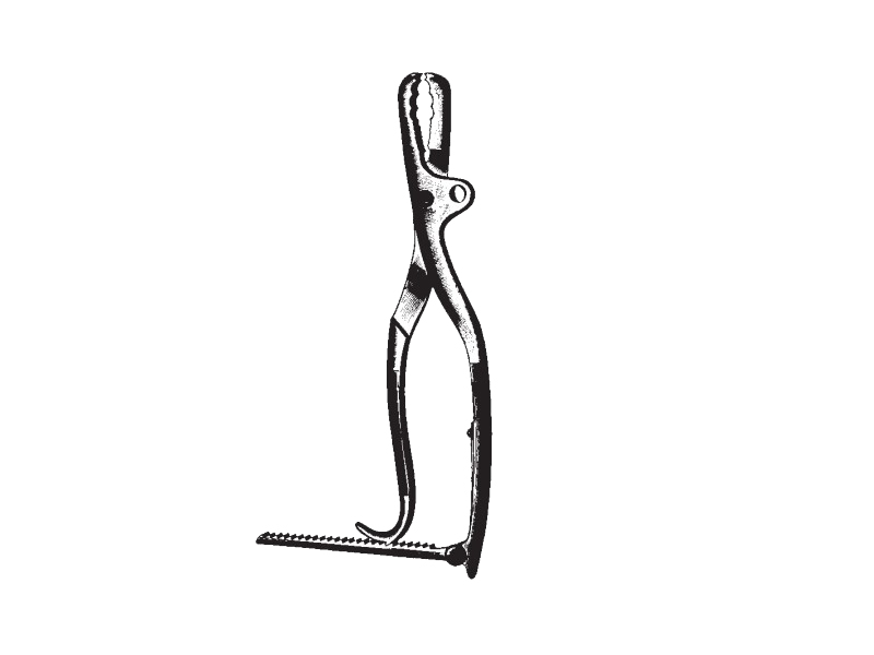 Pensa sustinere oase FARABEUF-LAMBOTTE, L26cm 