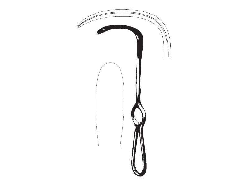Retractor LANGENBECK, 60x20mm, L21cm 