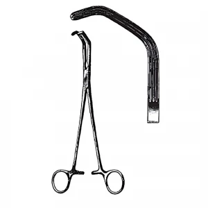 Clema bronhii PRICE-THOMAS, L22cm 