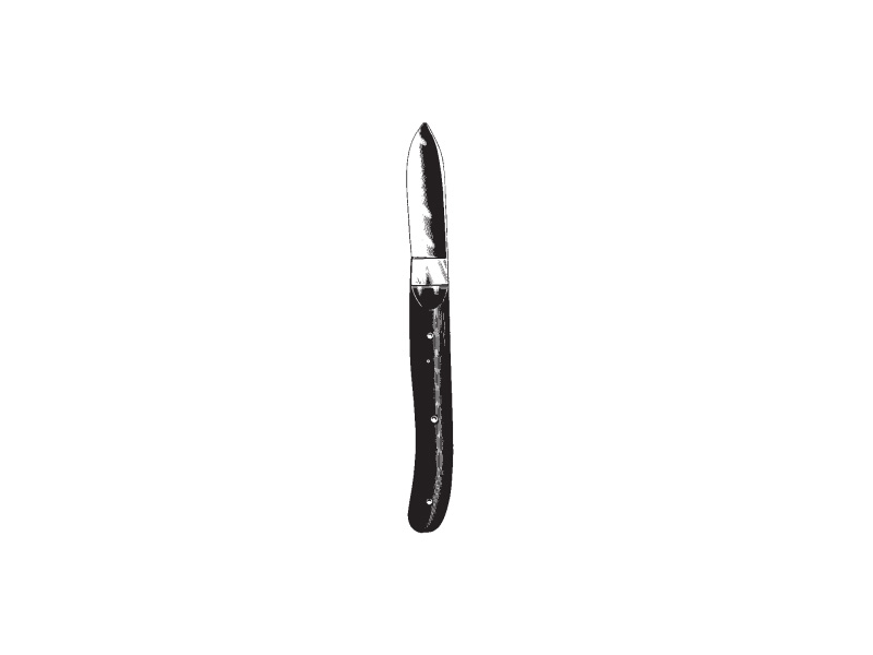 Bisturiu ghips HOPKINS, L20cm 