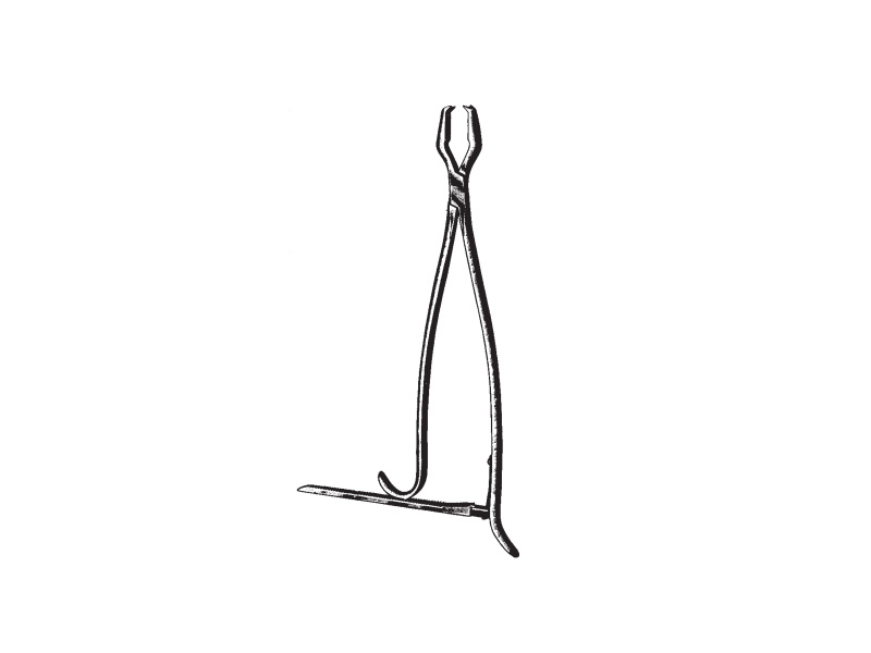 Pensa sustinere oase LANE, L33cm,  cu clichet
