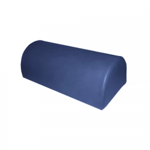 Perna semicilindrica, 50x25x18cm 