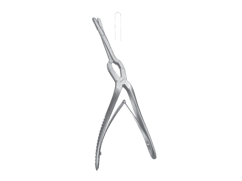 Pensa pentru sept MIDDLETON-JANSEN, L19cm 