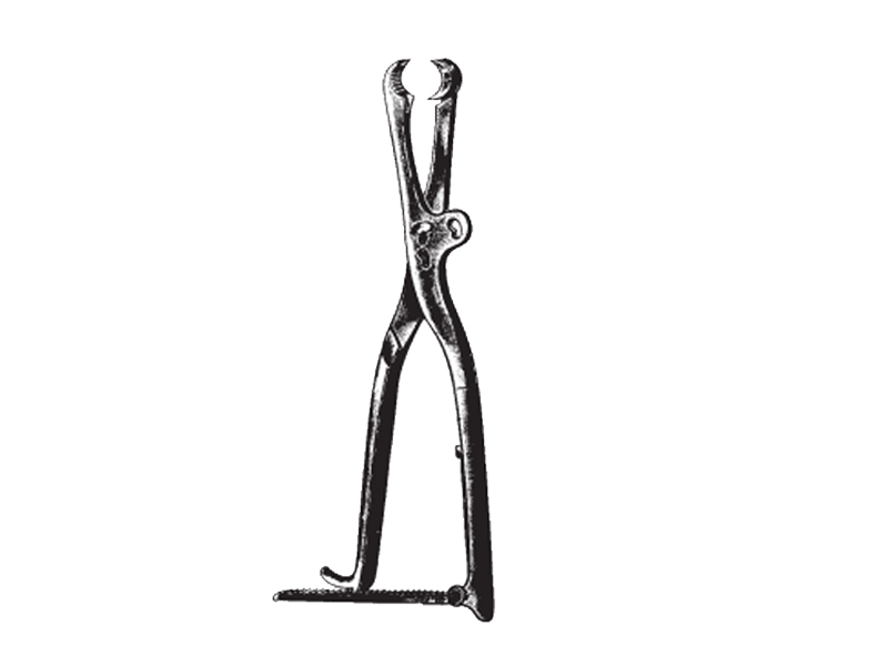 Pensa sustinere oase LAMBOTTE, L22cm 