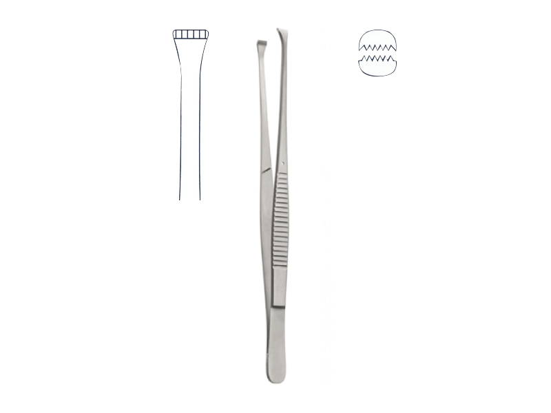 Pensa anatomica NELSON, L18cm 