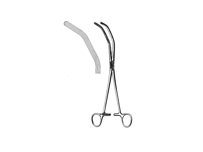 Clema peduncul HERRICK, L23cm 