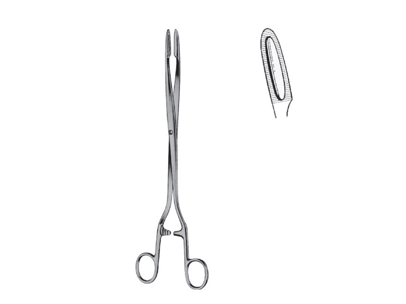 Pensa port-tampon SIMS-MAIER, L28cm,  curba