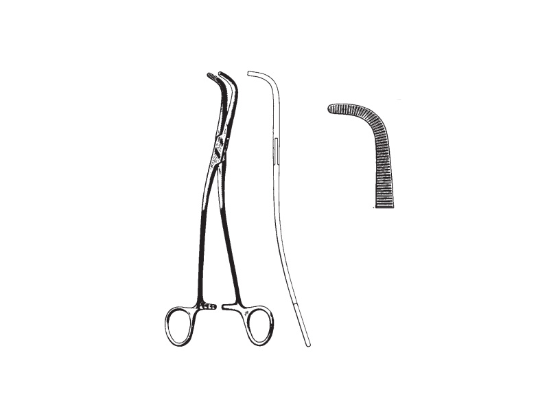 Clema cale biliara GRAY, L22cm 