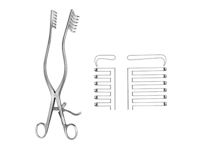 Retractor MARTIN, ascutit, cu autoblocare, 6x6 dinti lungi pe partea dreapta, L28.5cm 
