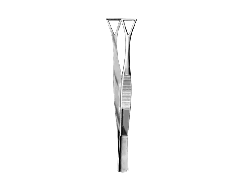Pensa anatomica COLLIN-DUVAL, L20cm 