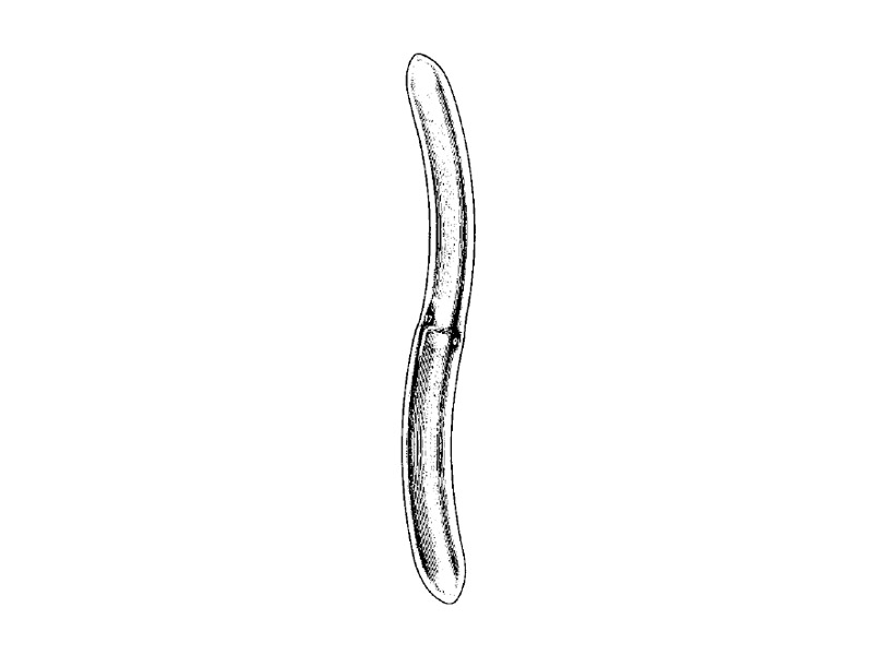 Dilatator uterin HEGAR, capat dublu, D1/2mm-25/26mm, set 13buc 
