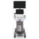 Ecograf stationar SonoScape ProPet 60 