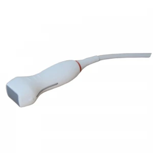 Sonda phased array 7P-A E11/X11 