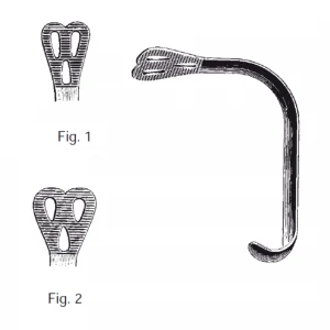 Apasator limba WIEDER,  L14cm (Fig 1)