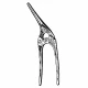 Clema intestinala PAYR-BABY, L15cm 