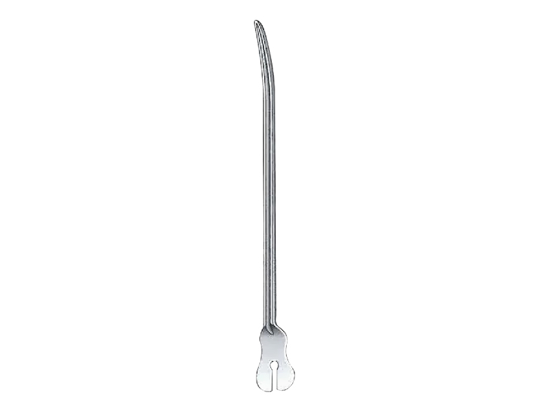 Sonda canelata DOYEN, L14cm 