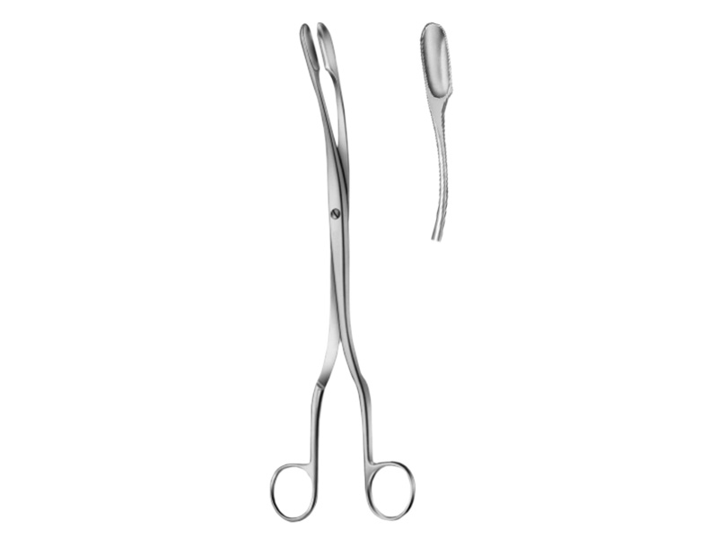 Pensa ovul WINTER, L28cm,  curba (Fig 1)