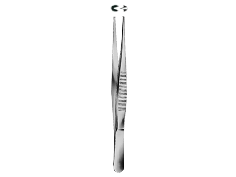 Pensa chirurgicala STANDARD, 1x2 dinti,  L10.5cm