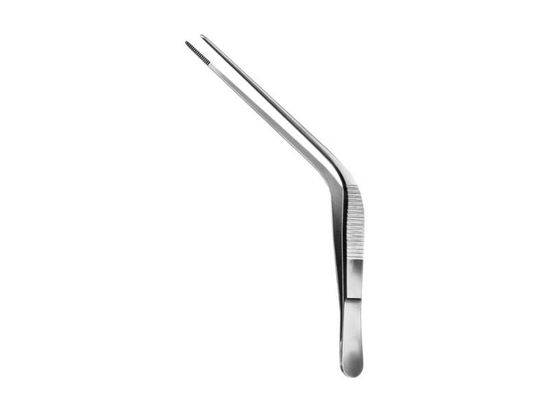 Pensa nazala TROELTSCH,  L15cm
