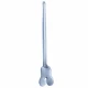 Sonda canelata,  L13cm