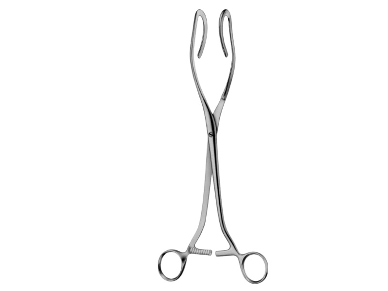 Pensa de prehensiune uterina DARTIGUES, L27cm 