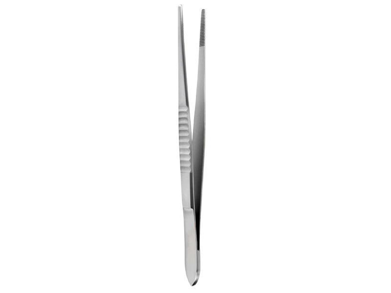 Pensa anatomica USA,  L11.5cm