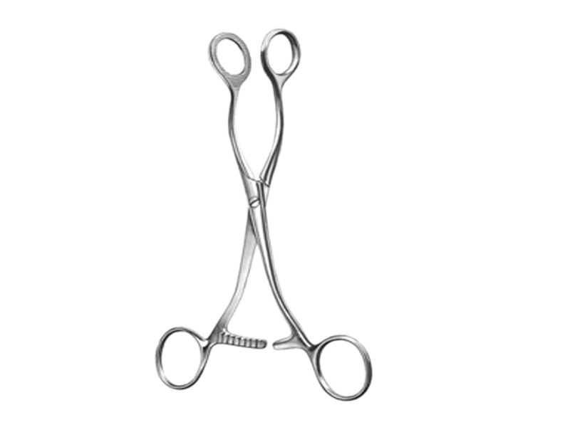 Pensa de prehensiune COLLIN, falci ovale, L16cm 