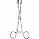 Pensa amigdale BALLENGER, L21.5cm 