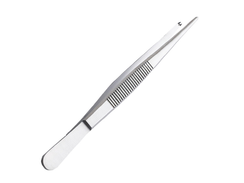 Pensa chirurgicala STRASSBURG, 1x2 dinti,  L20cm