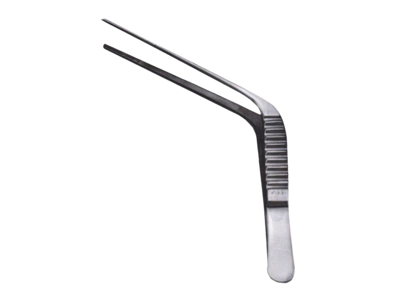 Pensa auriculara WILDE (TROELTSCH),  L13cm