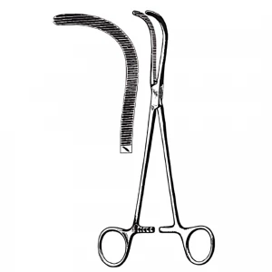 Clema peduncul GUYON,  L23cm