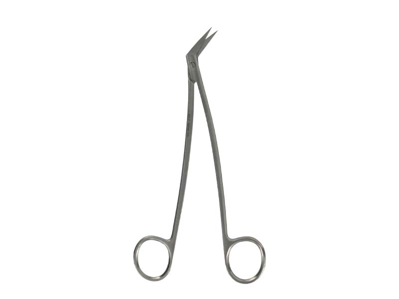Foarfeca gingivala LOCKLIN, varf ascutit/ascutit, L16cm 