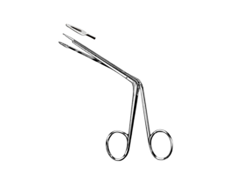 Pensa auriculara LITTAUER, L12cm 