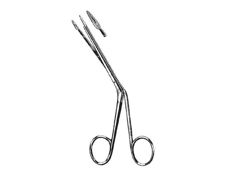 Pensa polipi auriculari LITTAUER, L18cm 