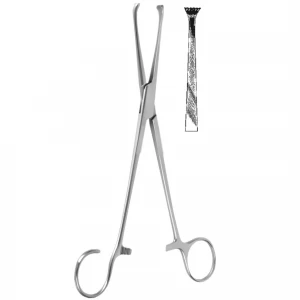 Pensa amigdale COLVER, L19cm,  dreapta