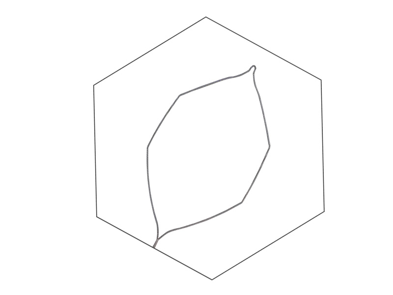 Ansa polipectomie, forma hexagonala, unica utilizare, HF, tub D2.4mm, bucla D15mm, L2300mm 