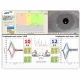 Examinare făcută cu Sistem eVNG+eHIT (Videonistagmograf cu Head Impulse Test) 