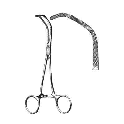 Clema vasculara SATINSKY, L26cm (Fig 1) 