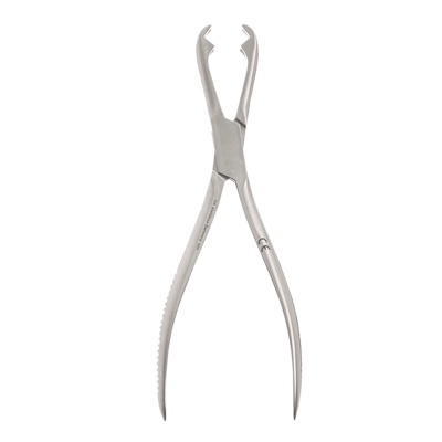 Pensa sustinere oase FERGUSSON, L21cm 