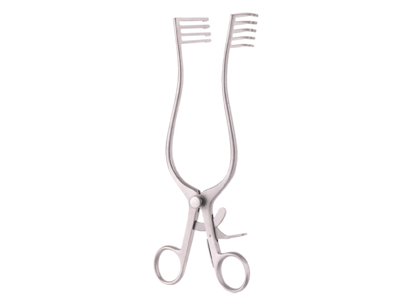 Retractor NORFOLK/NORWICH, bont, 4x5 dinti, L22cm 
