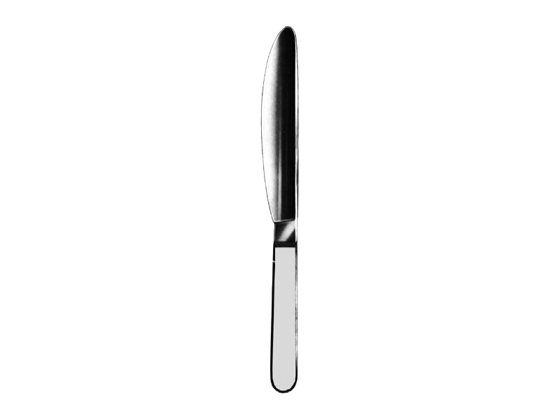 Bisturiu post-mortem, monobloc,  L17cm