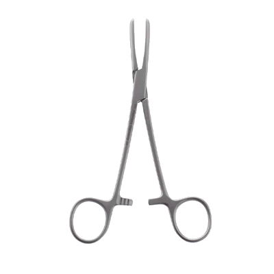 Clema PRESBYTERIAN, tip tub, neteda, L16cm 