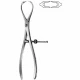 Pensa sustinere oase PATELLA, L18.5cm 