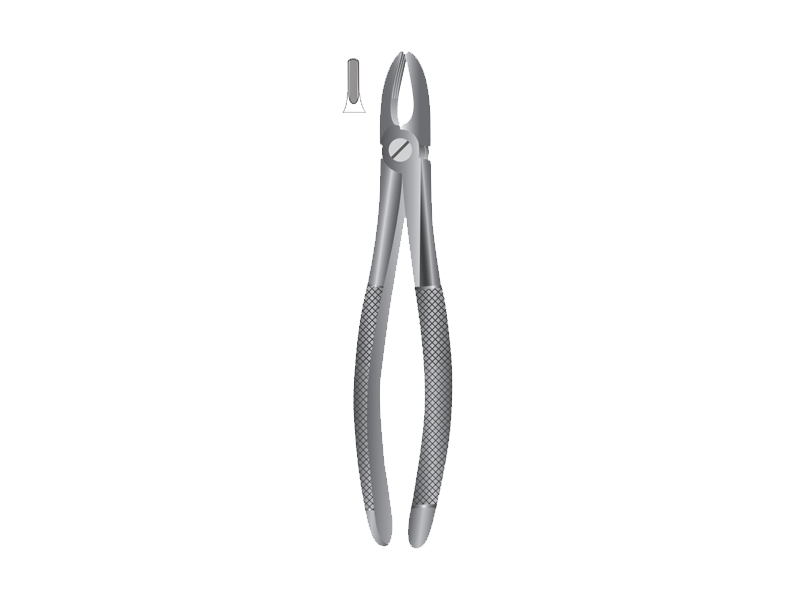 Pensa extractie incisivi, mandibula superioara (Fig 2) 
