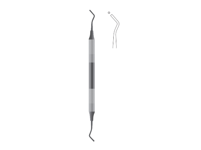 Spatula dentara, Fig 2 