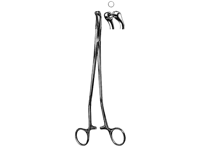 Pensa biopsie THOMS-GAYLOR, L24cm 