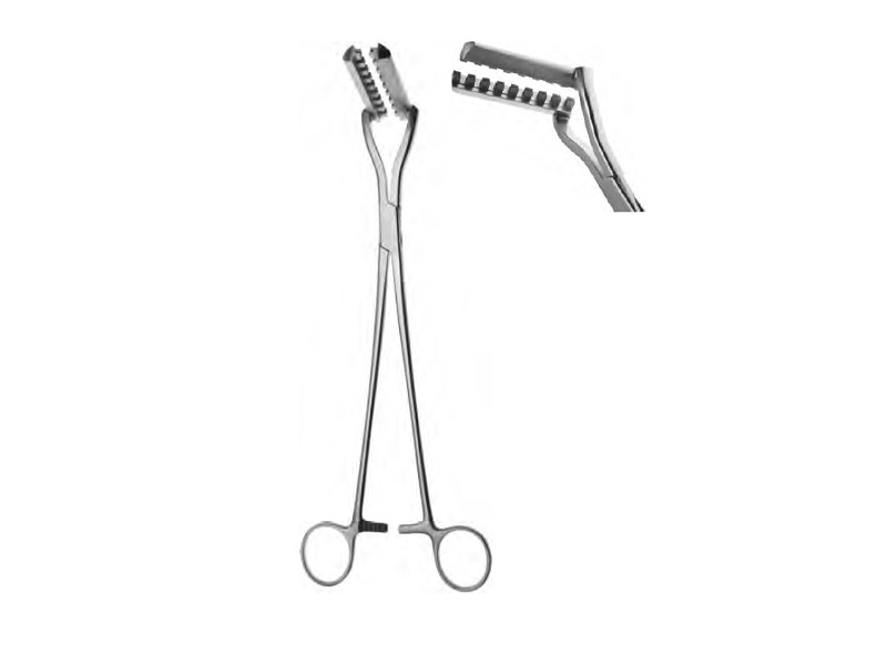 Pensa disectie si ligatura, L28cm 